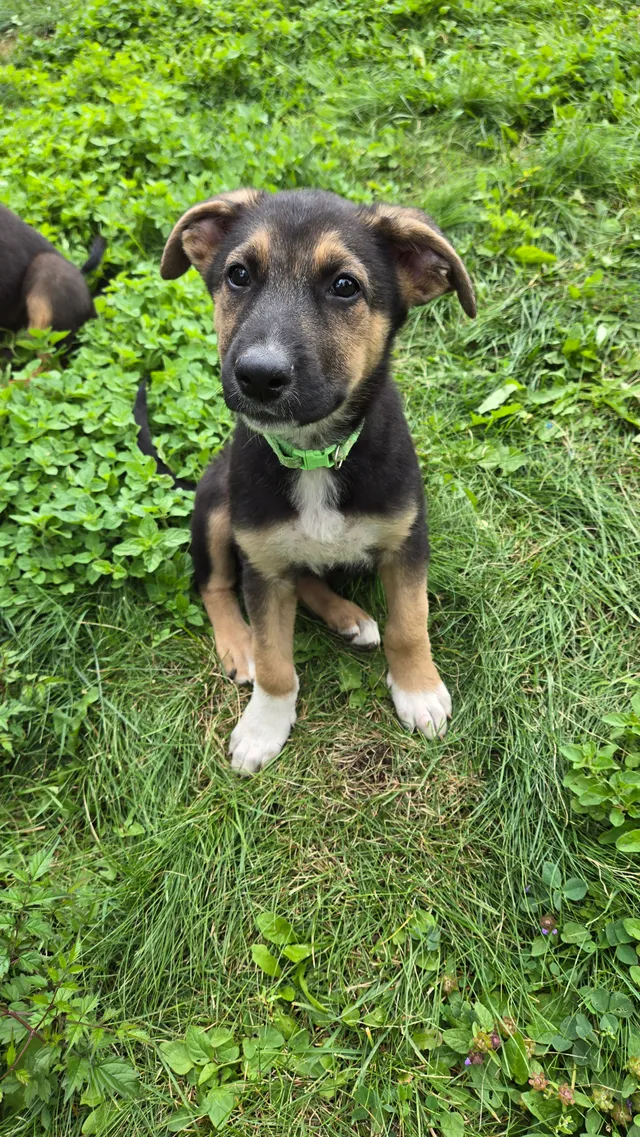 Photo 2 of Wrigley