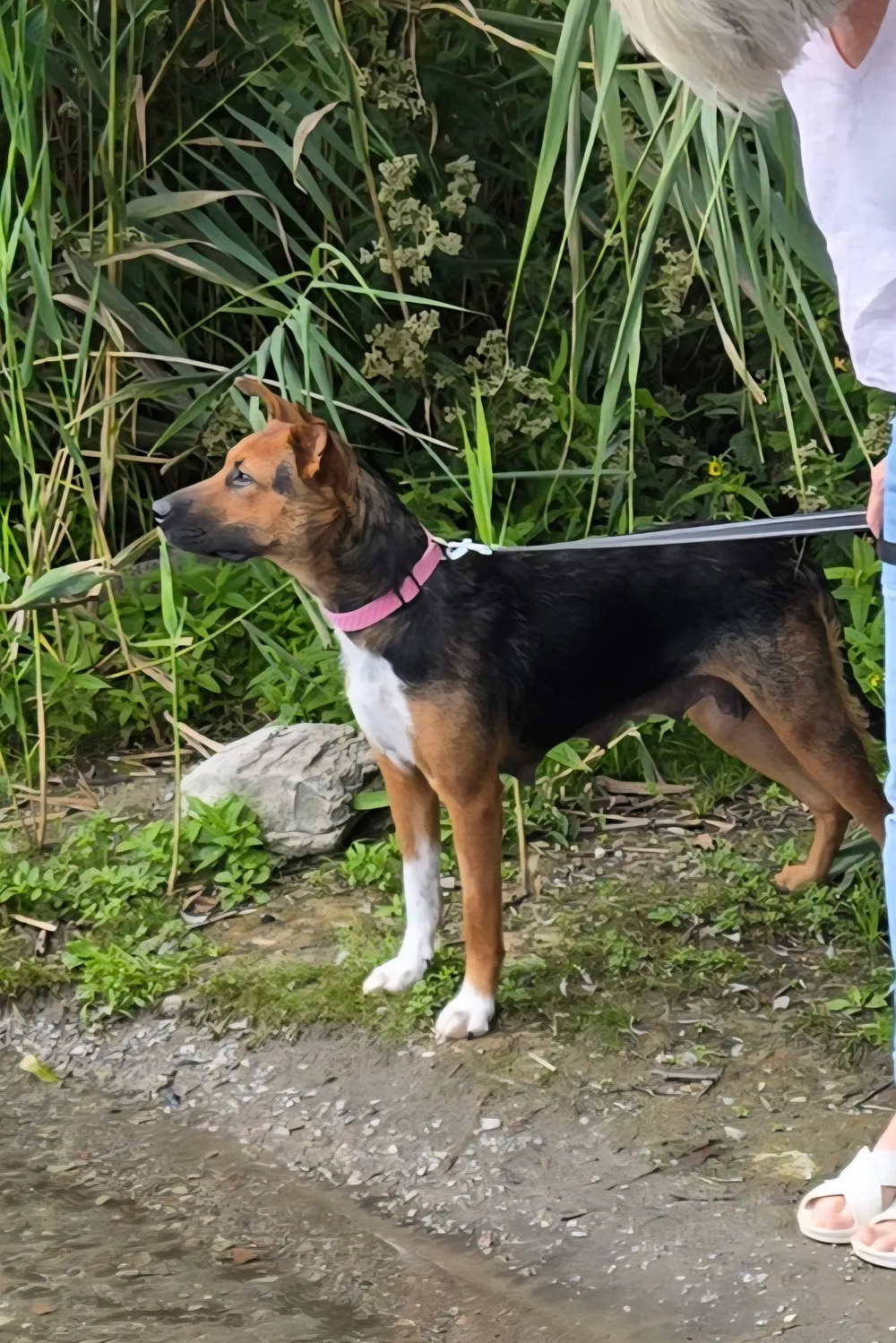 Photo of Nakken