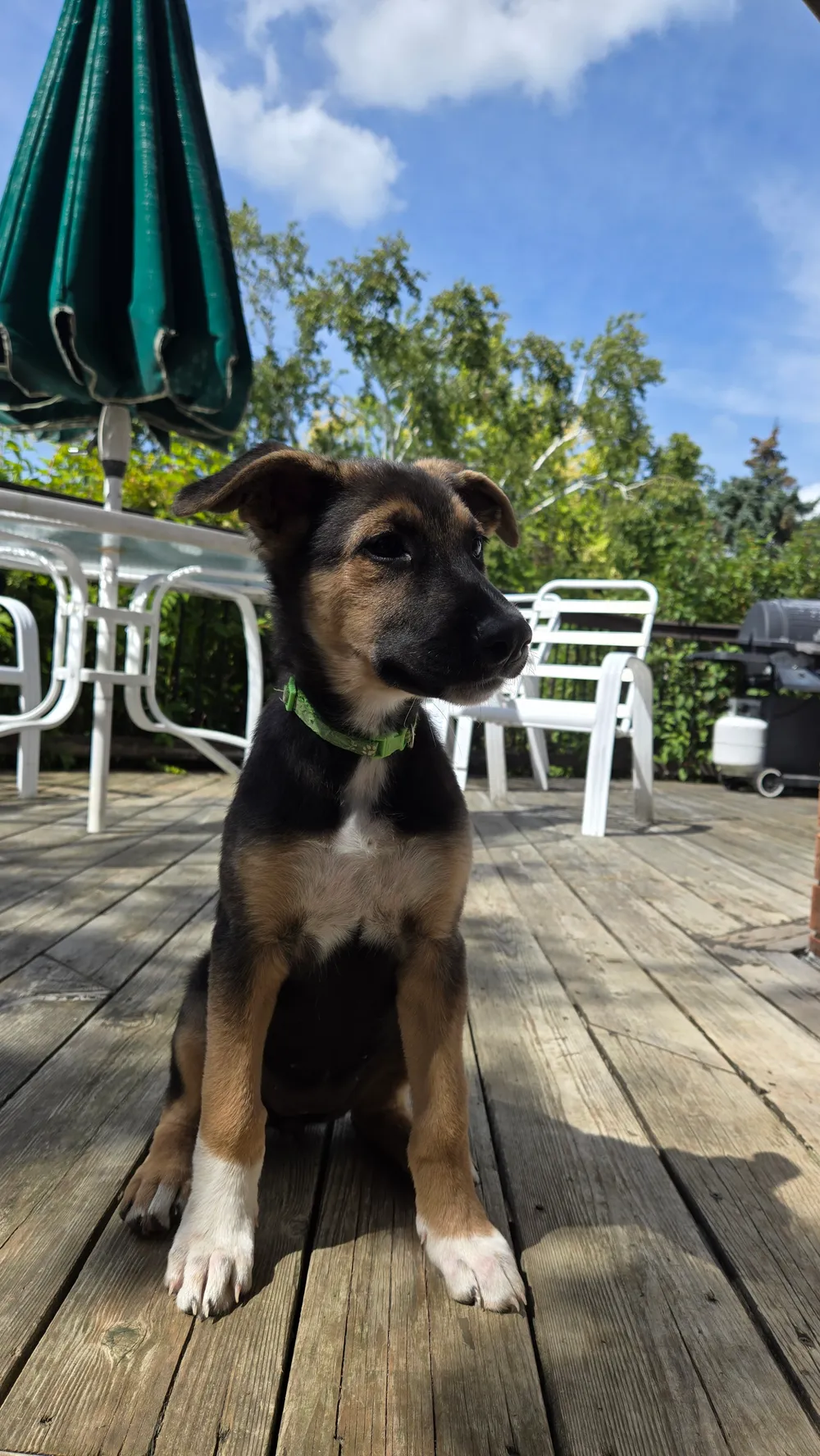 Photo of Wrigley