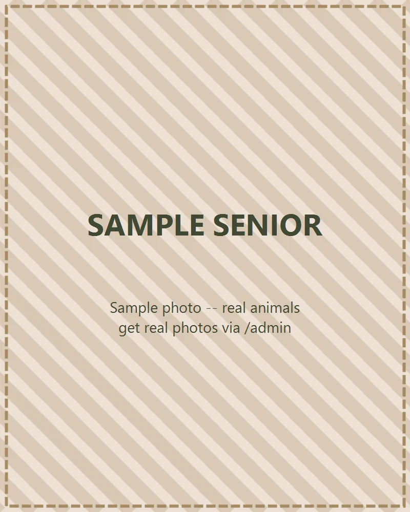 Photo of Sample Senior
